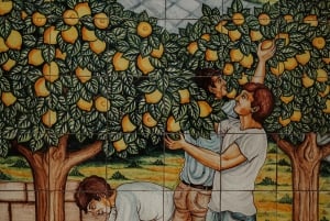 Alcamo: Degustazione Vini, 5 etichette Tenute Baglio Passofondo