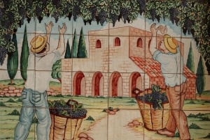 Alcamo: Degustazione Vini, 5 etichette Tenute Baglio Passofondo