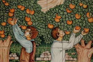 Alcamo: Degustazione Vini, 5 etichette Tenute Baglio Passofondo