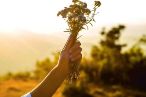 Alcamo : dégustation de vins, 5 étiquettes Tenute Baglio Passofondo