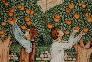 Alcamo : dégustation de vins, 5 étiquettes Tenute Baglio Passofondo