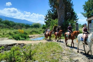 Alcantaran rotkot: ratsastus ja Etna-viinin maistelu