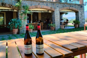 Alcantaran rotkot: ratsastus ja Etna-viinin maistelu