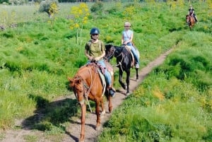 Alcantara: Reitwanderung zwischen Schluchten, byzantinischem Kuba und Natur