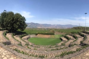 Tour della Valle dell'Alcantara e degustazione di vini da Taormina