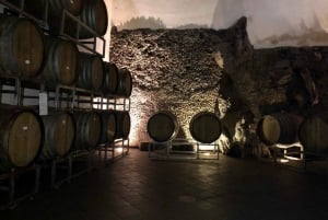 Alcantara valley and wine tasting tour from Taormina