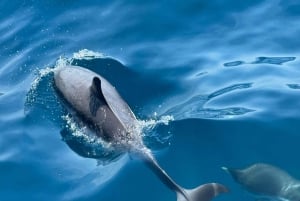 Aperitiff om bord på luksuriøs privat omvisning