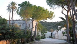 Azienda Agricola Pupillo