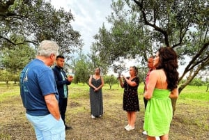 Balestrate: Olive Grove Tour with Wines & Olive Oil Tasting