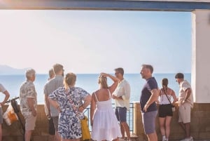 Balestrate: Visita ao olival com degustação de vinhos e azeite de oliva