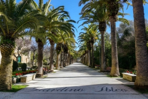 ミニバンで行くバロック・ツアー シラクサからノト・モディカ・ラグーサへ