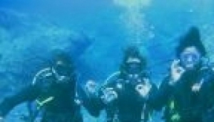 Barracuda Diving Ustica