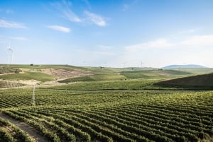 Marsala: Vinprovning med ögonbindel, spel och gåva