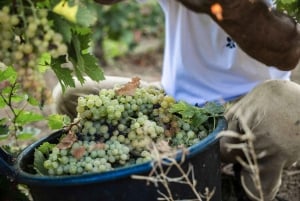 Marsala: Vinprovning med ögonbindel, spel och gåva