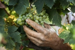 Marsala: Vinprovning med ögonbindel, spel och gåva