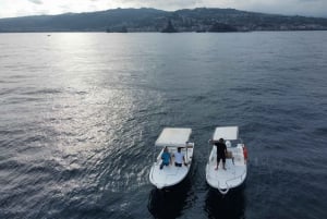 venekierros delfiinien etsimiseksi Acitrezza-saaristossa