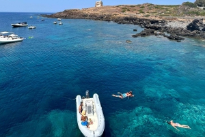 Boat Tour : tour de l'île en zodiac avec visite des grottes et plongée avec tuba.