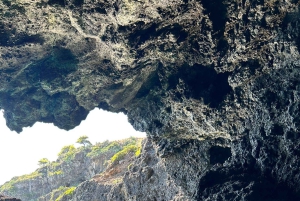 Boat Tour : tour de l'île en zodiac avec visite des grottes et plongée avec tuba.