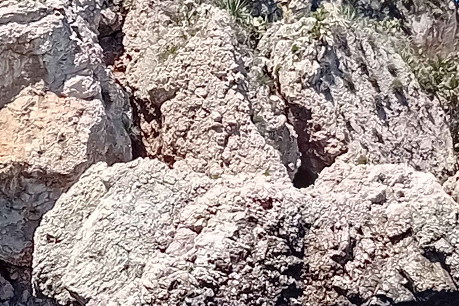 Bootstour:isola bella taormina