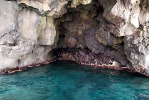 Tour in barca alle grotte di Ulisse con guida a nuoto