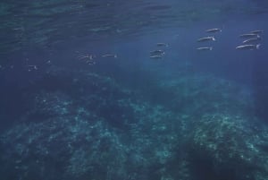 Giardini Naxos: Taormina e Isola Bella in Crociera con Aperitivo