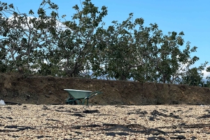 Бронте: экскурсия по фисташковым плантациям с посещением и дегустацией