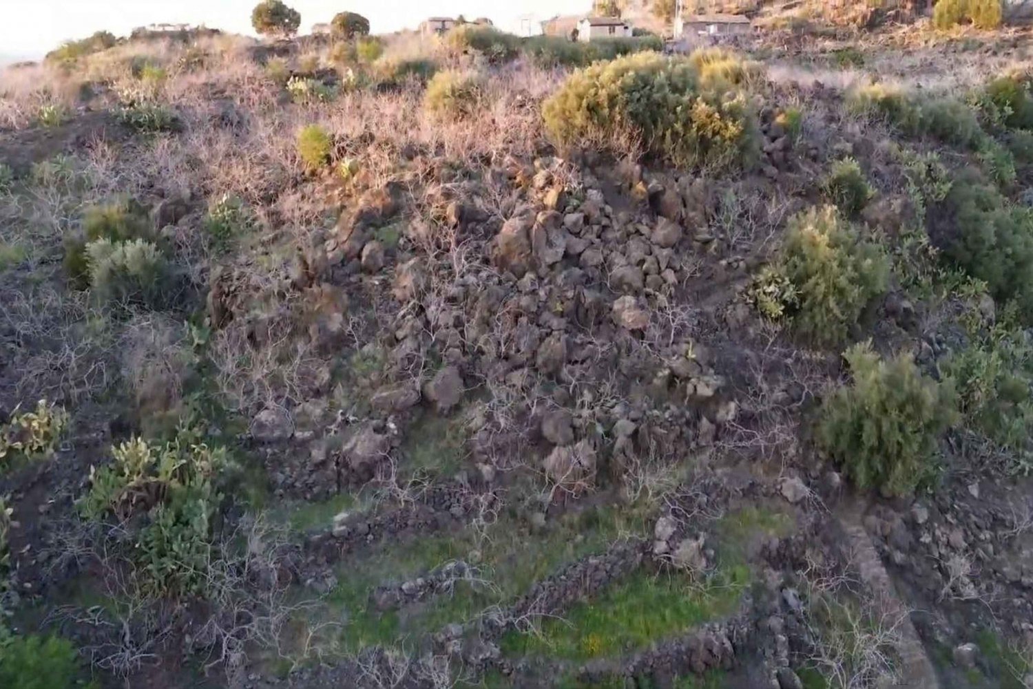 Bronte: Tour e degustazione nelle piantagioni di pistacchi