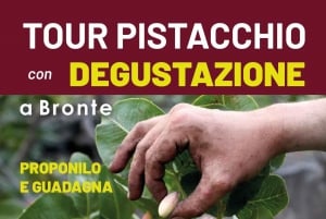 Bronte: Tour e degustazione nelle piantagioni di pistacchi