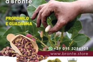 Bronte: Tour e degustazione nelle piantagioni di pistacchi