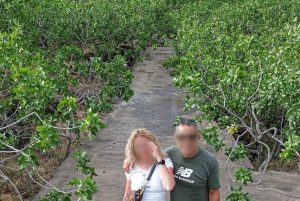 Bronte : Tour et dégustation dans les jardins de pistaches