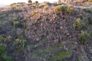 Bronte : Tour et dégustation dans les jardins de pistaches