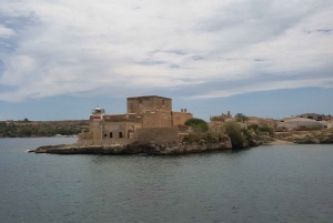 Tour dell'isola Ortigia,grotta azzurra, avvistamento delfini