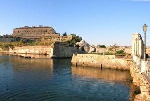 Tour dell'isola Ortigia,grotta azzurra, avvistamento delfini