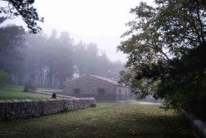 Buccheri (Syrakuzy): miejski trekking, trekking w lesie