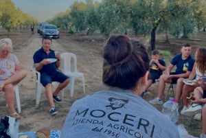 Campobello di Mazara: Bella Giornata Tour and Tasting