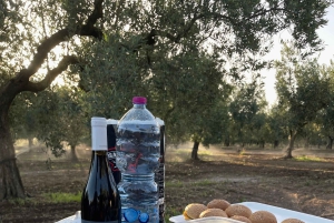 Campobello di Mazara: Bella Giornata Tour and Tasting