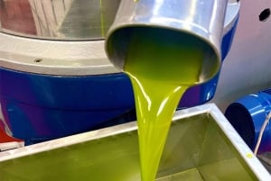 Campobello di Mazara: Bella Giornata Tour and Tasting