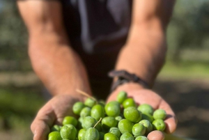 Campobello di Mazara: Bella Giornata Tour and Tasting