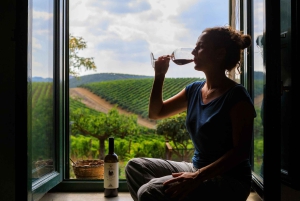 Camporeale : visite découverte des vins Sallier de La Tour