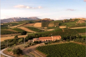 カンポレアーレ：サリエール・ド・ラ・トゥール ワインディスカバリーツアー