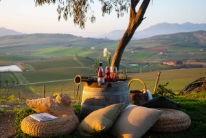 カンポレアーレ：サリエール・ド・ラ・トゥール ワインディスカバリーツアー