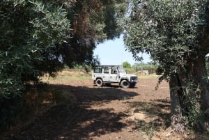 Capo Bianco ed Eraclea Minoa - Off Road Tour 4x4 da Sciacca