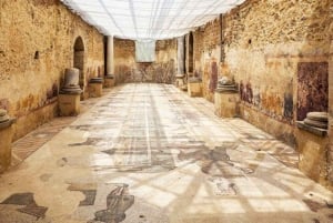 Bil/Minivan-tur från Syrakusa till Villa Romana del Casale och Caltagirone