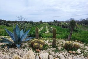 カサ・ネペタ：ノトで五感を使ったトレッキングとビターズの試飲をお楽しみください