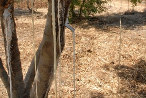 Castelbuono : visite guidée du centre historique médiéval et visite du château