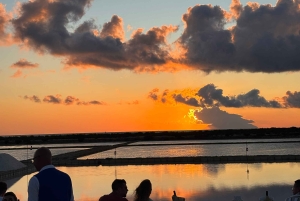 Кастелламмаре-дель-Гольфо: экскурсия по Эриче и соляным приискам Марсалы