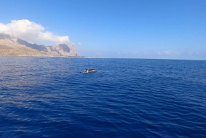 Castellammare del Golfo: Viagem de 1 dia em um cruzeiro com snorkel
