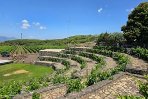 Кастельмола и Этна: дегустация вина на Сицилии