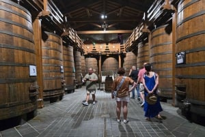 Кастельмола и Этна: дегустация вина на Сицилии