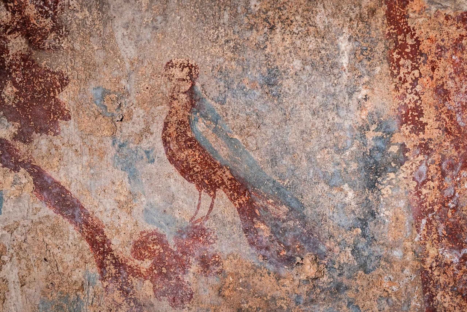 Catacomba San Giovanni: Entrébiljett och guidad tur med VR-visare